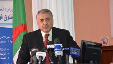 Photo of وزير العمل يؤكد على الدور الهام للمعلومات الإحصائية في تطوير أي رؤية مستقبلية