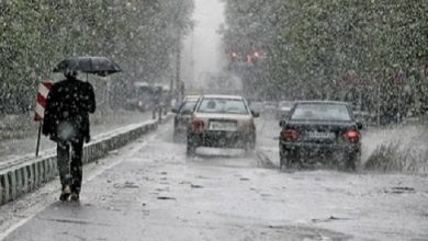 Photo of أمطار غزيرة عبر 8 ولايات بداية من اليوم