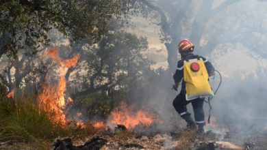 Photo of تسجيل 15 حريقا عبر الوطن خلال 24 ساعة