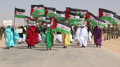 Photo of جبهة البوليساريو ترافع لإنهاء آخر مستعمرة في إفريقيا
