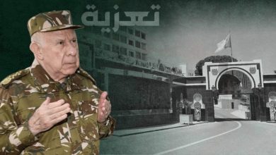 Photo of تحطم طائرة عسكرية:شنقريحة يُعزي ويأمر بفتح تحقيق